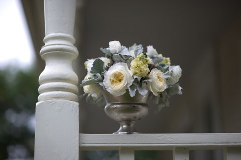 As the weather gets colder outside winter white flowers with soft dusty