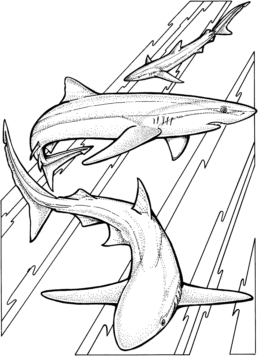 Download Sand Tiger Shark Coloring Pages Sketch Coloring Page