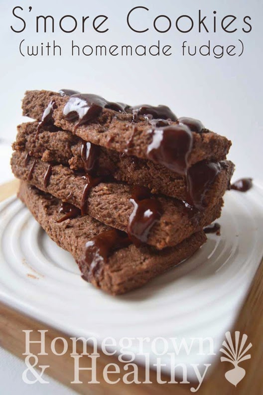 smore-banner