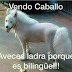 Vendo Caballo