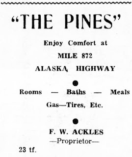 The Pines