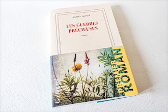 Lundi Librairie : Les guerres précieuses - Perrine Tripier