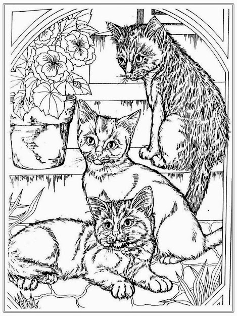 Cat Coloring Page For Adults  Cat Coloring Pages For Adult Realistic Coloring  Pages