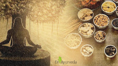 Philosophy of Ayurveda by Dr Ayurveda Official