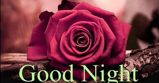 Best Good Night Status download for Whatsapp and Facebook.