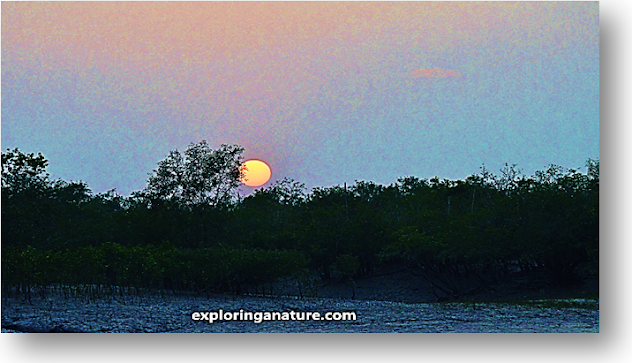 Sunset view at Sundarban National Park