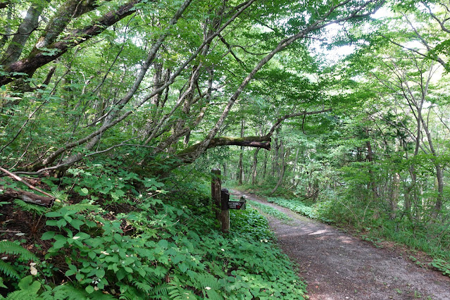 大山の桝水別れ