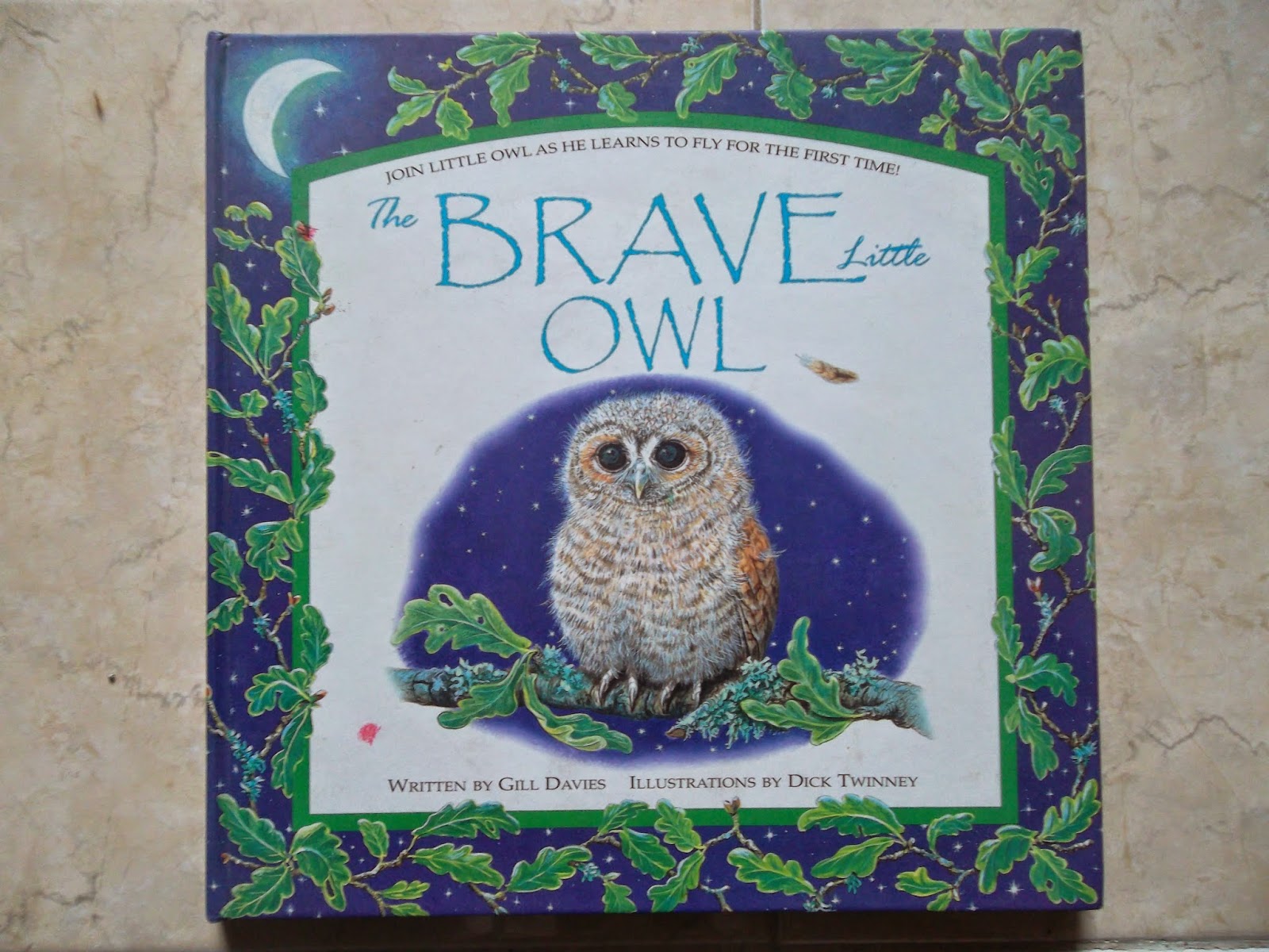 The Brave Little Owl - Dah-Kinang