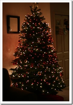 Picture 056