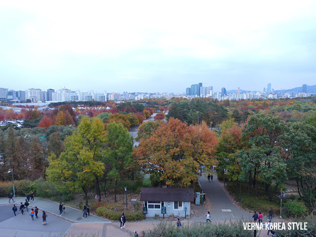 韓國, 景點, 首爾, 賞楓, 夜景, 天空公園,藍天公園,芒草