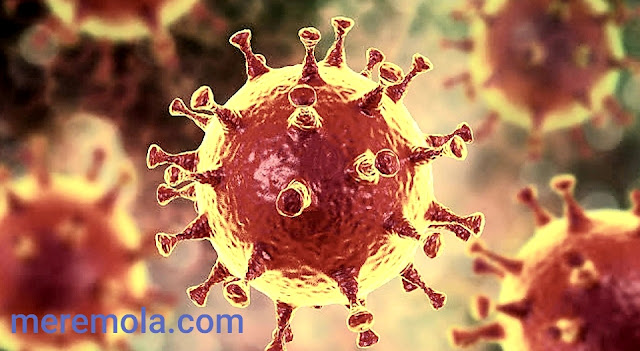 فيروس ليزا الجديد يظهر و نحن  لم ننتهى من فيروس كورونا بعد، فهل هذه سنة الاوبئة؟