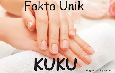 Fakta Unik KUKU