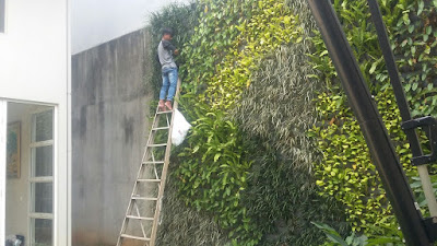 Jasa pembuatan vertical garden di Jakarta