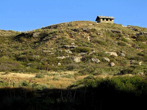 IMG_9212 (Medium)