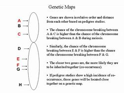 Gene Mapping