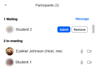 Participant list for students waiting and in a meeting