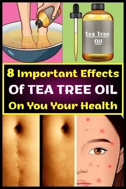 8 Important Effects Of Tea Tree Oil On You Your Health