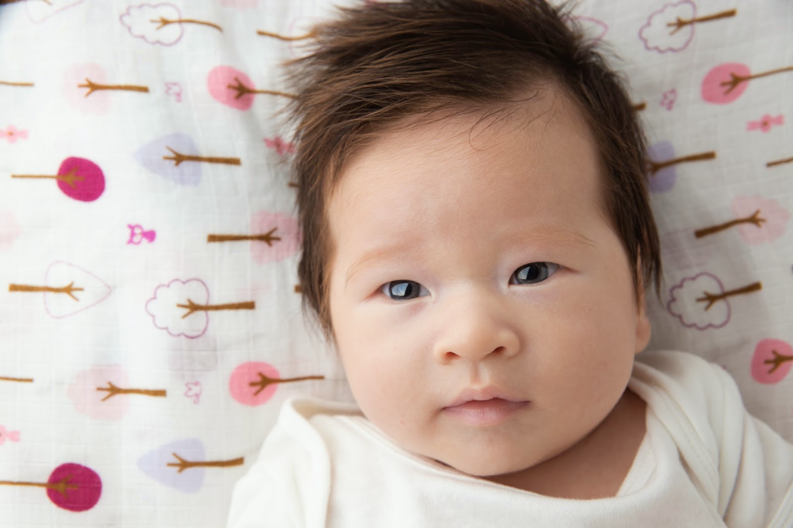 Galeri Gambar Bayi Ganteng Dan lucu Asal Korea Yang Bikin 