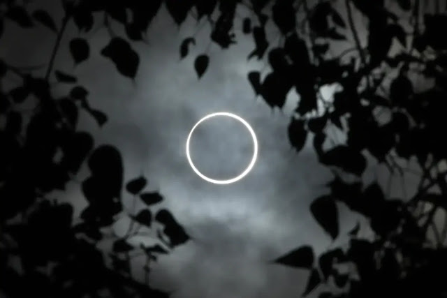 Solar Eclipse December 26: 10 Great Photos Taken Today