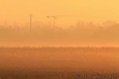 matin brume silhouette campagne champs ville grue Sénart Seine-et-Marne