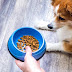 Pure Balance Dog Food Review: Nourishing Your Canine Companion with Quality Nutrition