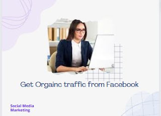 Seven Tips For Generating Website Traffic With A Limited Marketing Budget| Get Organic traffic from Facebook