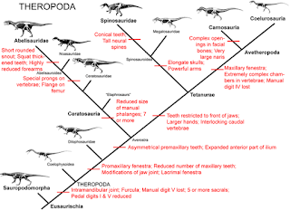 Ayam Adalah Dinosaurus Itu Sendiri