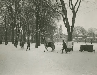 A photograph of figures on skis being pulled by horses.