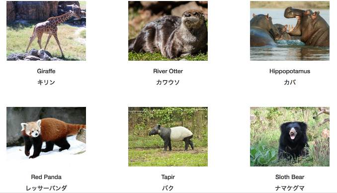 バイリンguru ブログ 日英動物辞典と一緒に子供と動物園へゴー