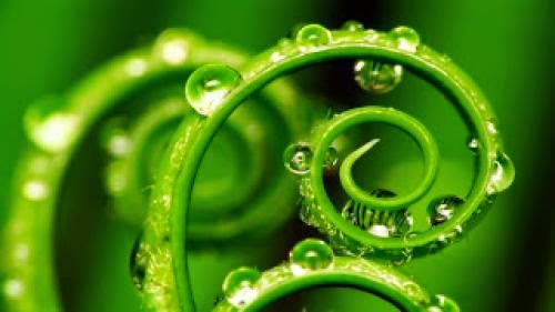 The Meaning And Significance Of The Spiral