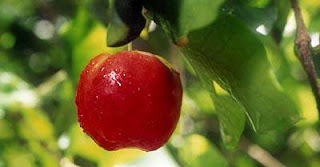 Acerola para prevenir gripes