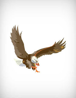 eagle vector, bird vector, wind vector, fowl vector, fly vector, ঈগল, eagle vector ai, eagle vector eps, eagle vector png, eagle vector svg