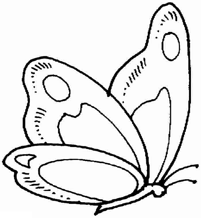 Butterfly Coloring Pages Learn More