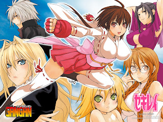 musubi sekirei cute hot girl hnt anime wallpaper