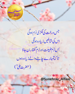 hazrat ali quotes in urdu