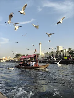 Бухта Крик Дубай