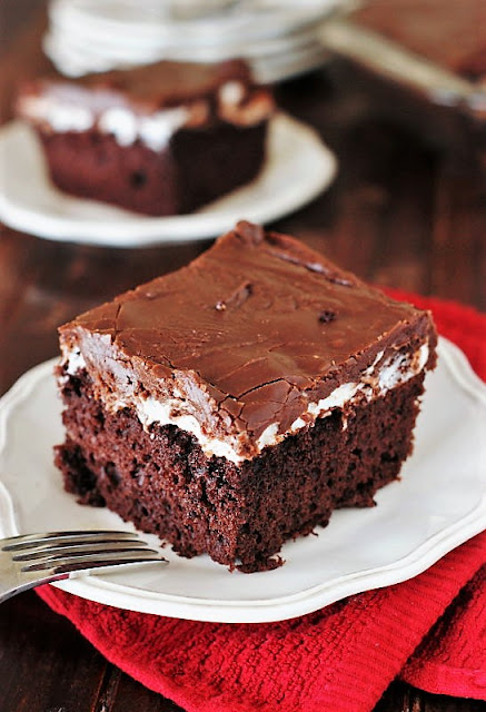 Marshmallow Chocolate Cake Image ~ Tender & tasty chocolate cake topped with a layer of gooey, melty marshmallow and rich chocolaty-fudgy icing.  It's pure chocolate deliciousness!