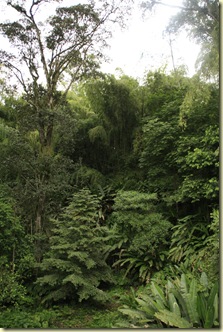 Mariposario 049