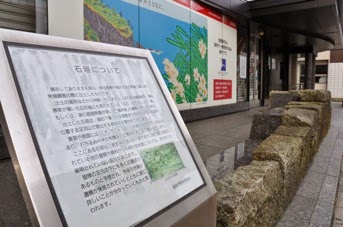 DSC 0531