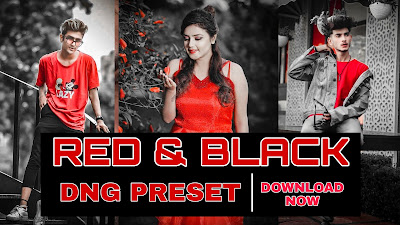 Red and black preset dng