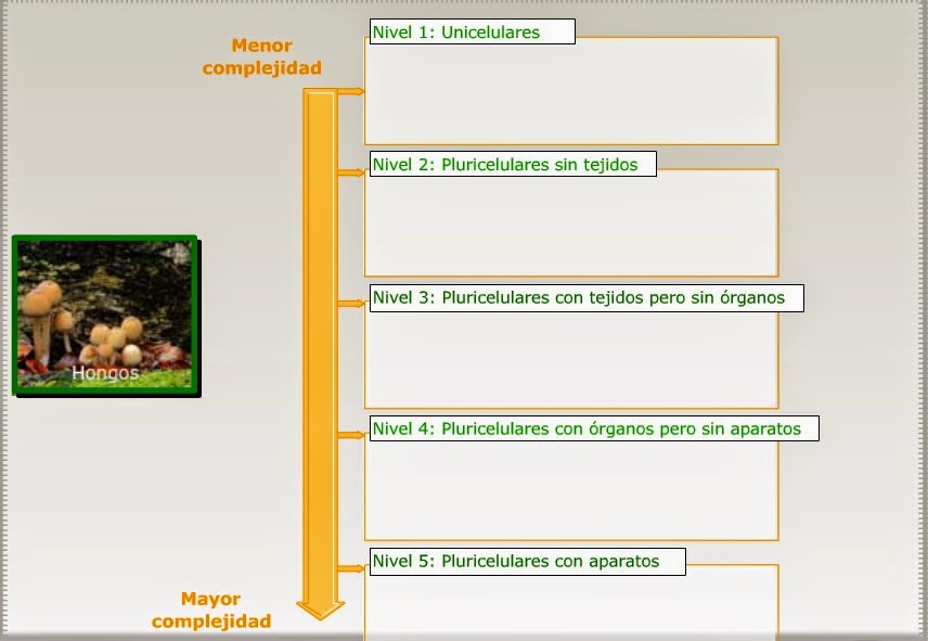  UBICANDO ORGANISMOS SEGÚN SU NIVEL DE ORGANIZACIÓN