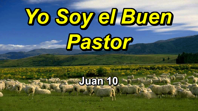 Pastoral de la Salud "Señor ten piedad" - Kyrie Eleison: Evangelio ...