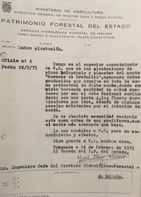 Oficio de José Pino Rivera notificando daños en plantación de las Morenas, 24/02/1971.s