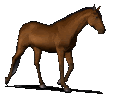 Horse running PNG GIF photo free download