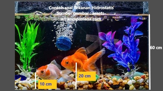 hitung tekanan hidrostatis yang dialami ikan di dalam aquarium