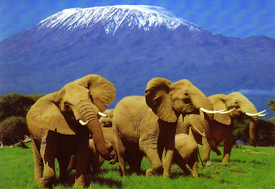 Barack Obama safari, Obama trail in Kenya, Obama heritage, Kogelo, Holiday in Kenya, Safari in Kenya, African wild, Mount Kenya, The Great Rift Valley, Amboseli National Park, Masai Mara Game Reser, Obama trail, 