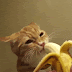 Banana for scale?