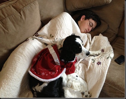 2012-12-KevinChristmasHolly