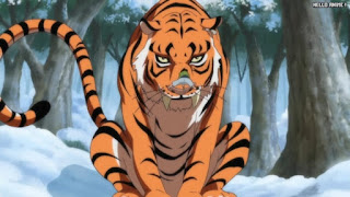 ワンピースアニメ 499話 幼少期 | ONE PIECE Episode 499 ASL