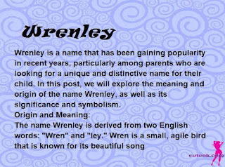 meaning of the name "Wrenley"